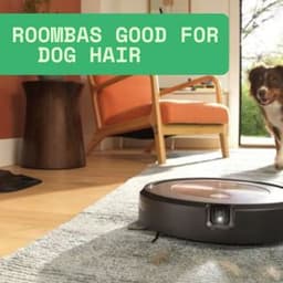Are Roombas Good for Dog Hair? Find Out What You Need to Know