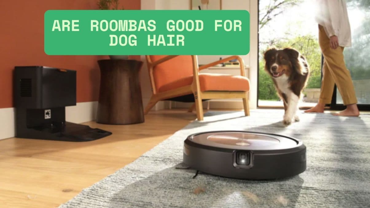 Are Roombas Good for Dog Hair? Find Out What You Need to Know