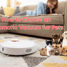 How to Choose an Automatic Vacuum for Pets: Full Guide