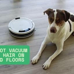 Understanding How a Pet Hair Robot Vacuum Can Simplify Cleaning