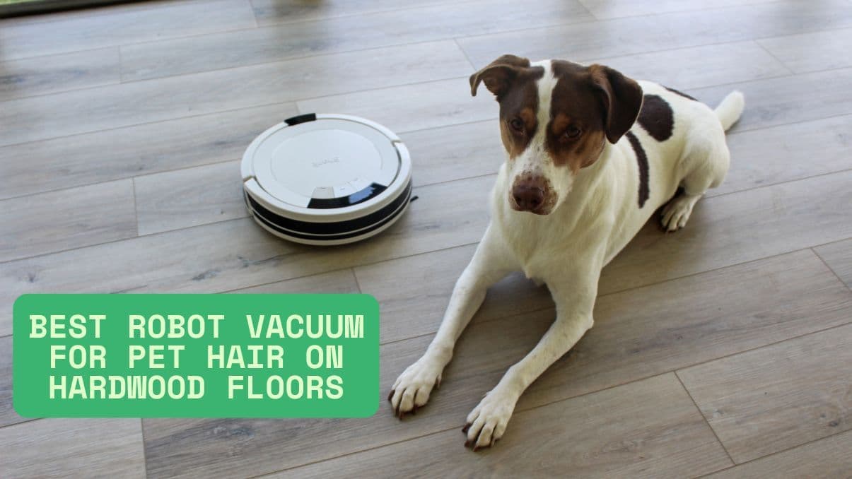 Understanding How a Pet Hair Robot Vacuum Can Simplify Cleaning