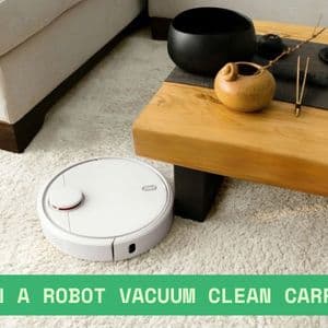 Can a Robot Vacuum Clean Carpet? What You Need to Know