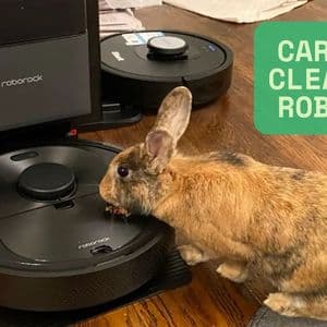 How Carpet Cleaner Robots Are Changing Home Maintenance