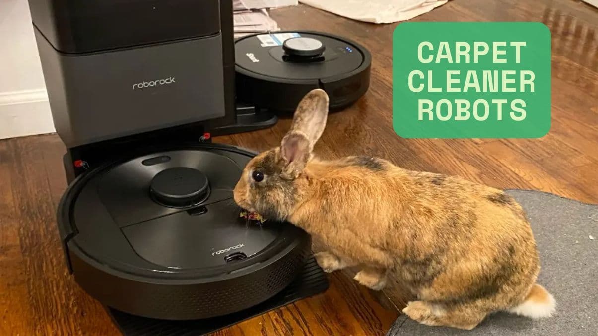 How Carpet Cleaner Robots Are Changing Home Maintenance