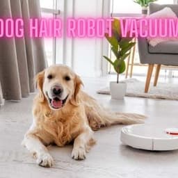 Best Dog Hair Robot Vacuum: A Complete Guide for Pet Owners