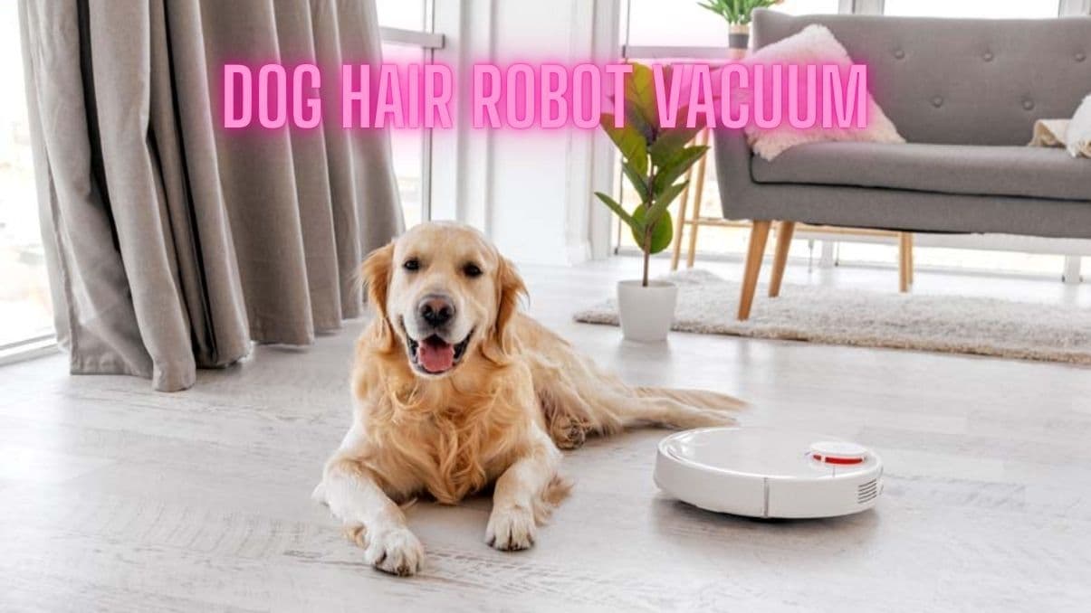 Best Dog Hair Robot Vacuum: A Complete Guide for Pet Owners