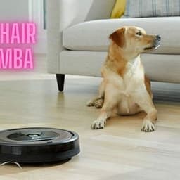 How to Choose the Right Dog Hair Roomba for a Cleaner Home