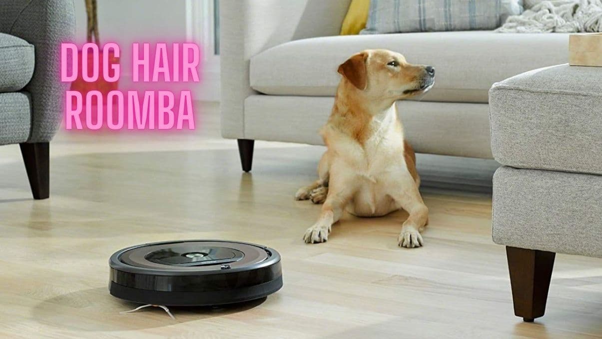 How to Choose the Right Dog Hair Roomba for a Cleaner Home