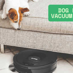 Quiet and Powerful Dog Hair Vacuum Robots for Any Floor