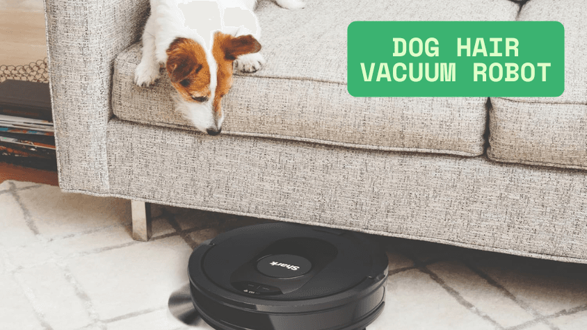 Quiet and Powerful Dog Hair Vacuum Robots for Any Floor