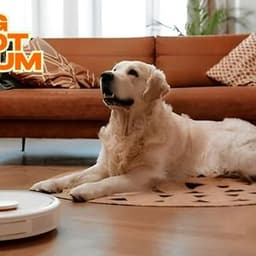 Top Dog Robot Vacuum Picks for Shedding Dogs