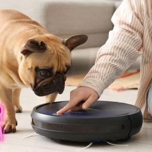 How a Pet Hair Roomba Handles Shedding in Homes with Pets