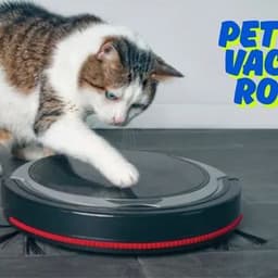 Understanding How a Pet Hair Vacuum Robot Handles Shedding Messes