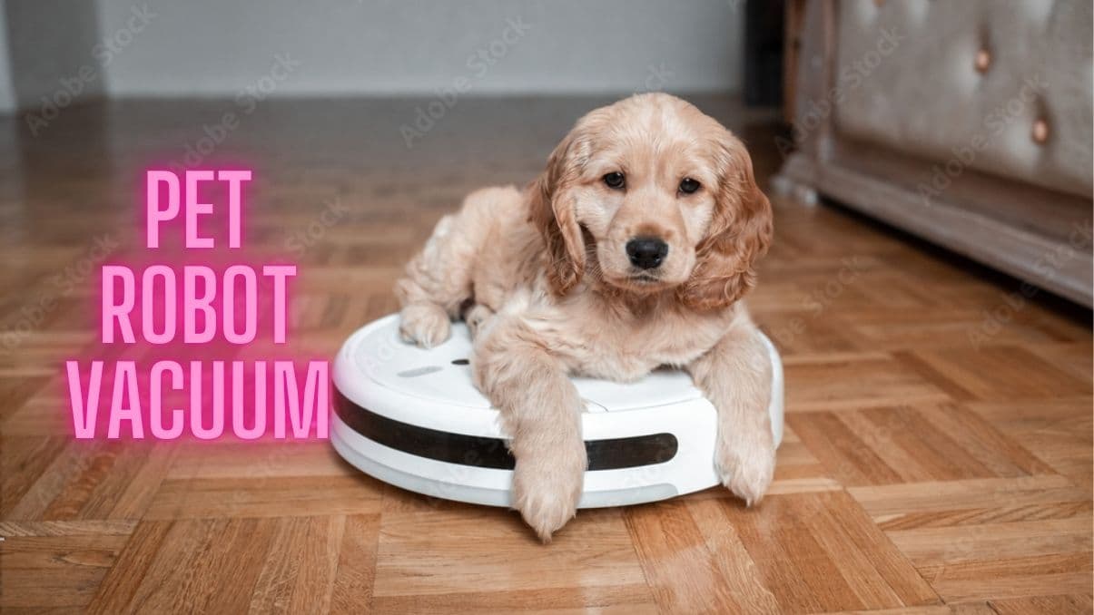 Everything You Need to Know About a Pet Robot Vacuum