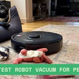 Quietest Robot Vacuum for Pet Hair: The Ultimate Guide