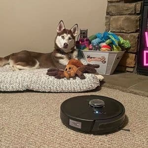 Robot Vacuum Dog Hair: What to Know Before You Choose