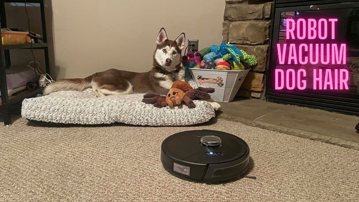 Robot Vacuum Dog Hair: What to Know Before You Choose