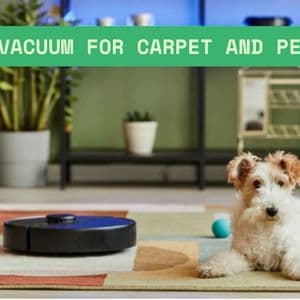 Robot Vacuum for Carpet and Pet Hair: What You Need to Know
