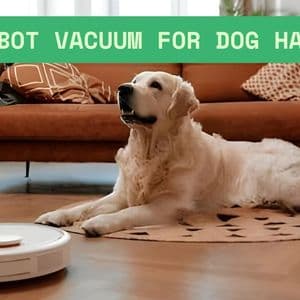 Best Practices for Using a Robot Vacuum for Dog Hair at Home