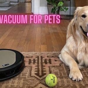 Robot Vacuum for Pets: A Guide to Cleaner Homes with Less Effort