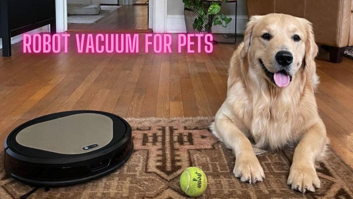 Robot Vacuum for Pets: A Guide to Cleaner Homes with Less Effort