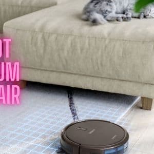 Robot Vacuum Pet Hair Solutions: How They Handle Messy Homes
