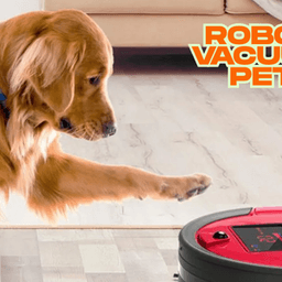 Affordable Robot Vacuum Pet Hair Cleaners Reviewed