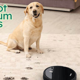 Top Robot Vacuum Pets Hair Cleaners for Every Home