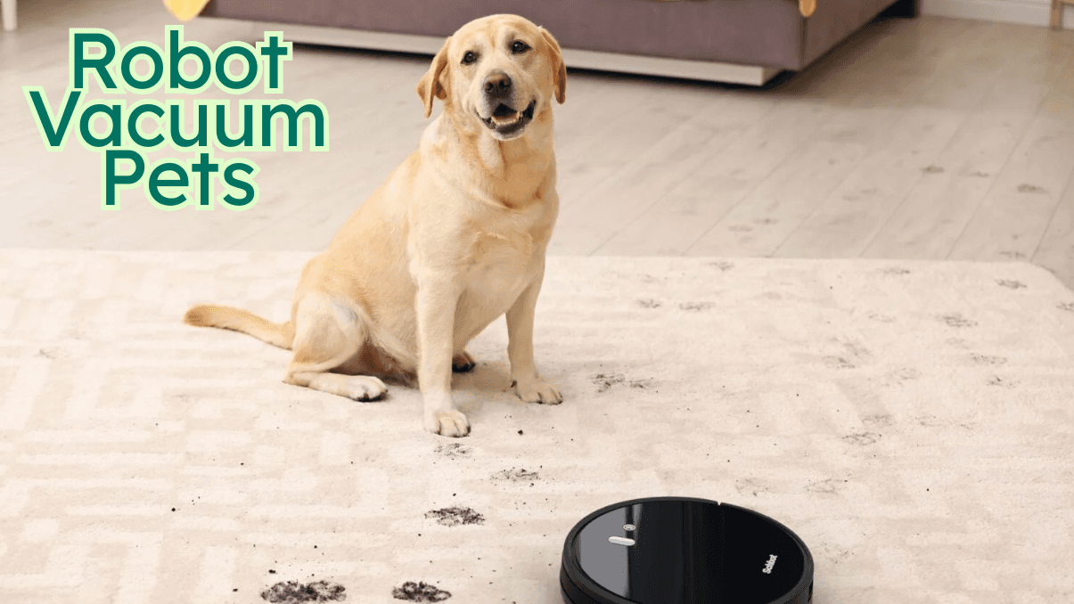 Top Robot Vacuum Pets Hair Cleaners for Every Home