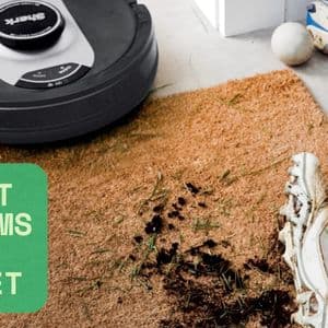 Best Robot Vacuums for Carpet: What You Need to Know