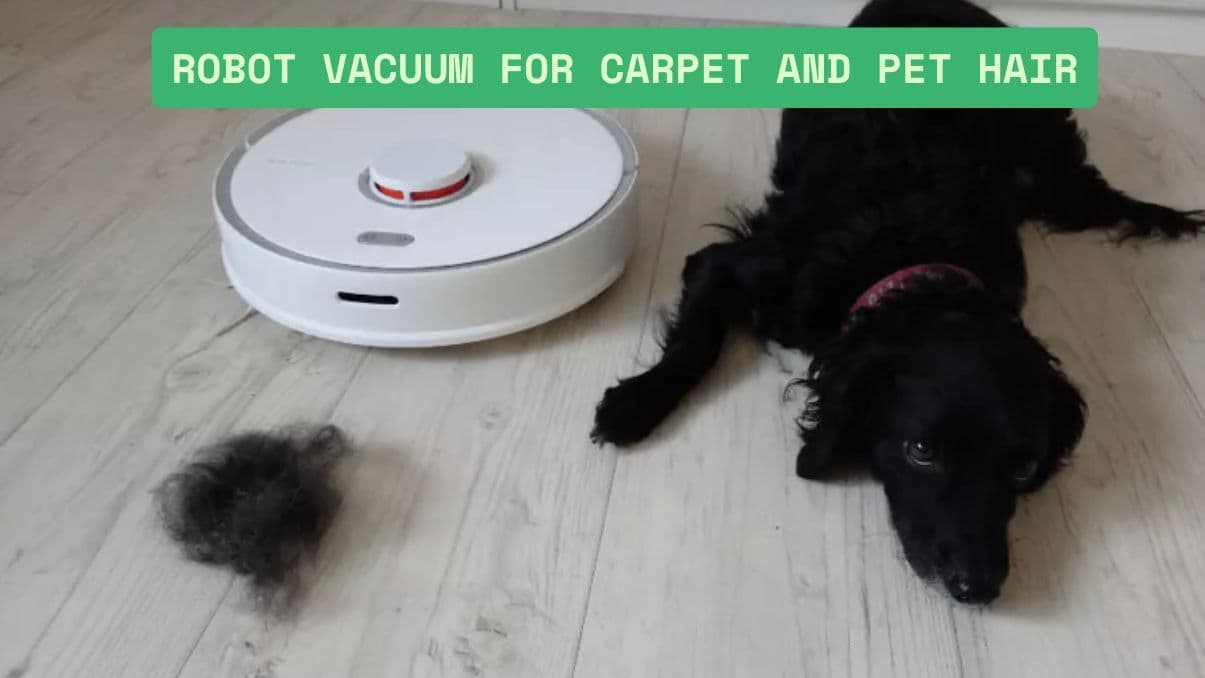 Understanding the Best Robotic Vacuum Cleaner for Pet Hair