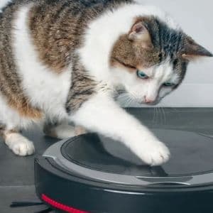 Best Robotic Vacuum for Pet Hair: What You Need to Know
