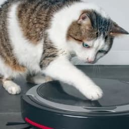 Best Robotic Vacuum for Pet Hair: What You Need to Know