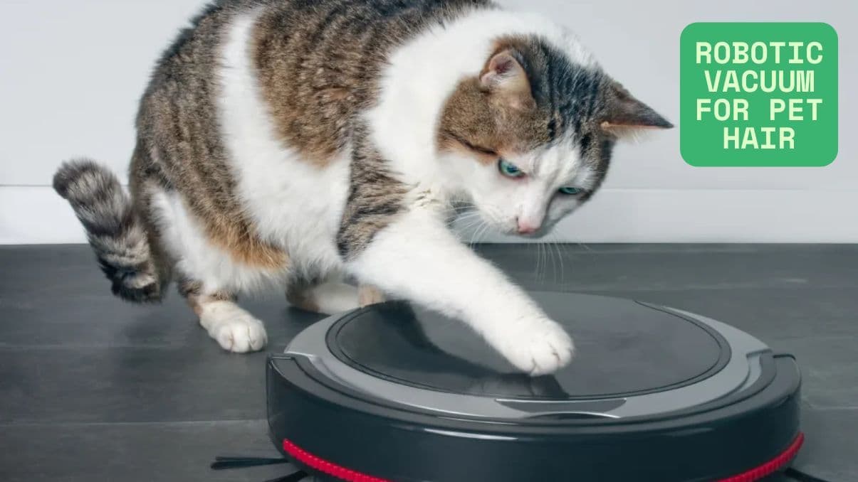 Best Robotic Vacuum for Pet Hair: What You Need to Know