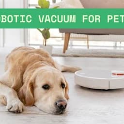 Best Robotic Vacuum for Pets: What You Need to Know