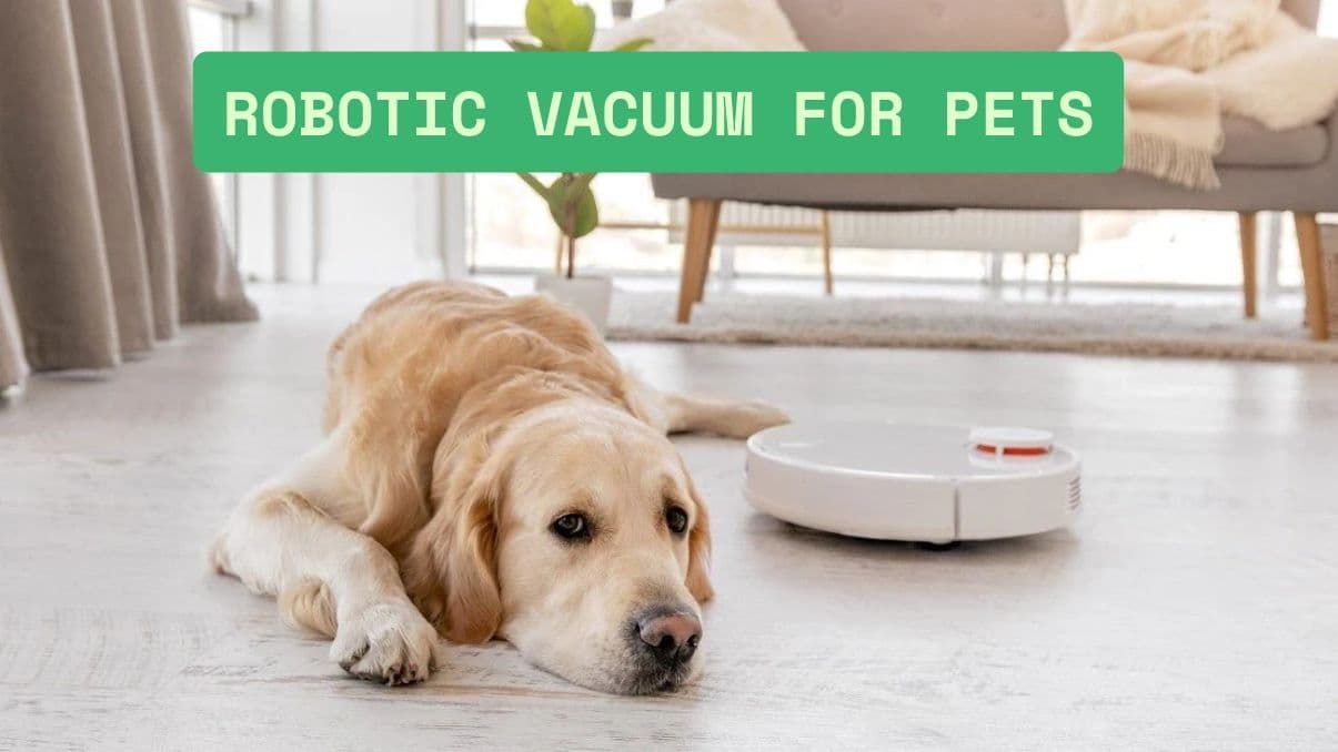 Best Robotic Vacuum for Pets: What You Need to Know
