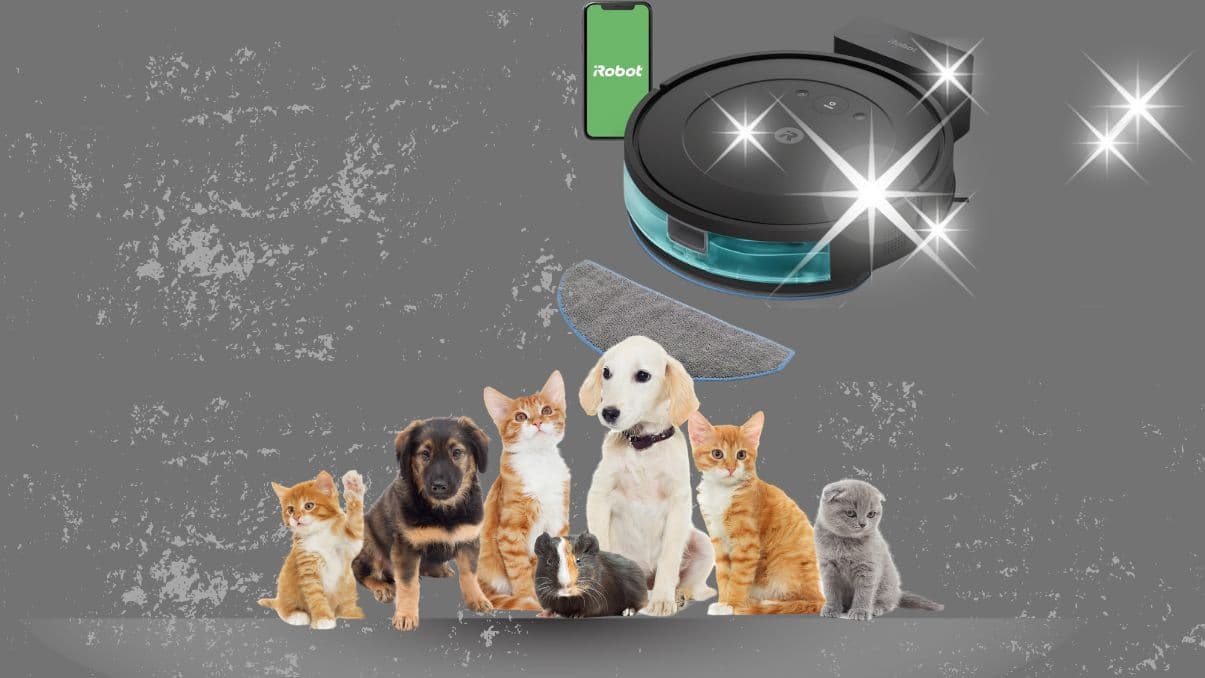 How Roomba and Pet Hair Cleaning Changed My Life
