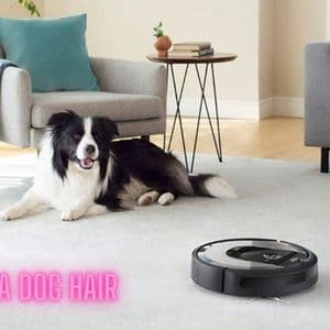 Roomba Dog Hair Solutions: How Robot Vacuums Handle Pet Shedding