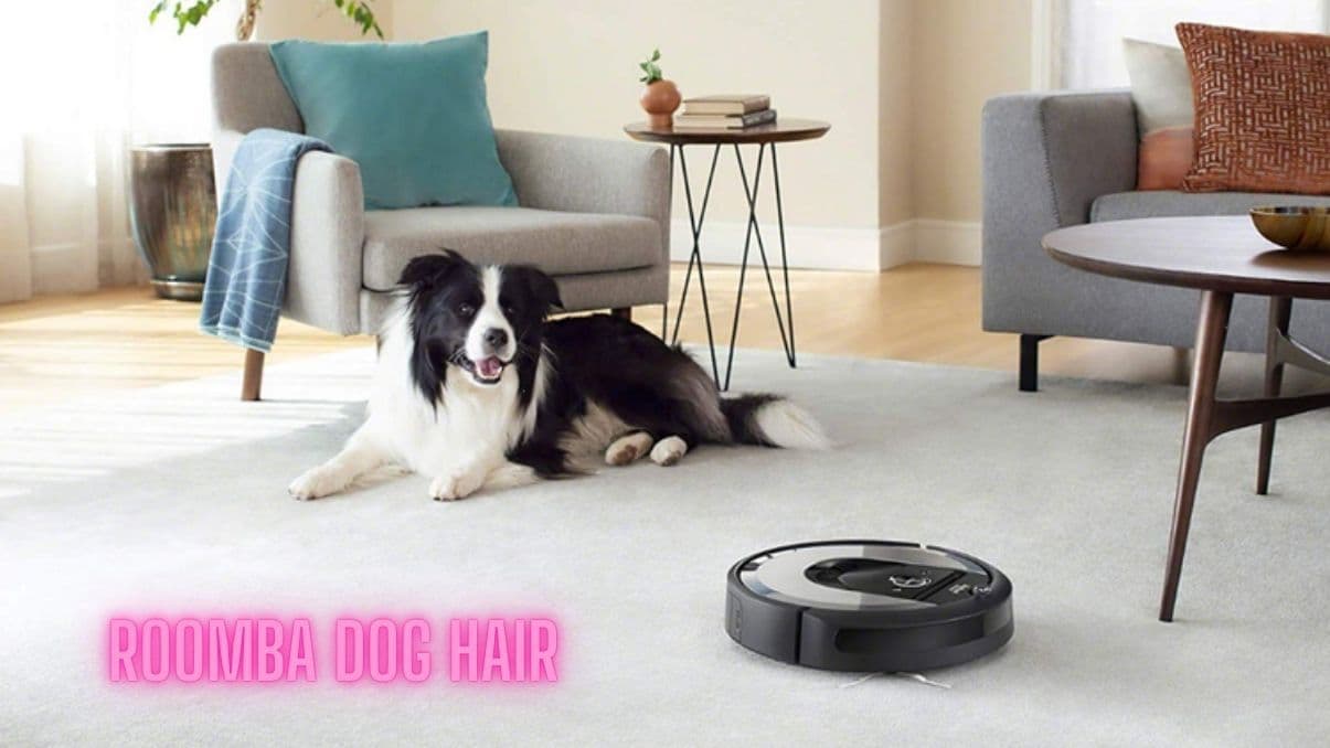 Roomba Dog Hair Solutions: How Robot Vacuums Handle Pet Shedding