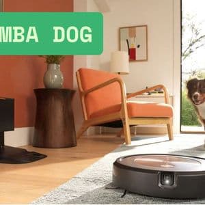Roomba Dog: What to Know About Robot Vacuums and Pets