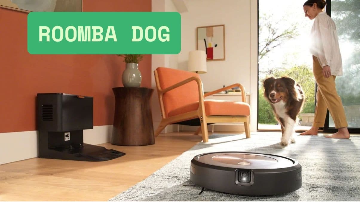 Roomba Dog: What to Know About Robot Vacuums and Pets