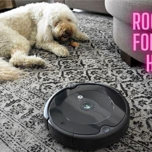 Roomba for Dog Hair: What to Know Before You Choose