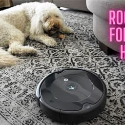 Roomba for Dog Hair: What to Know Before You Choose