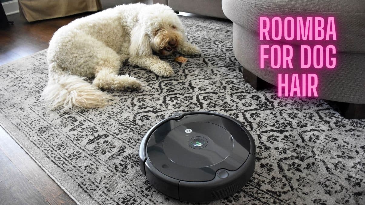 Roomba for Dog Hair: What to Know Before You Choose