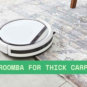 Roomba for Thick Carpet: What to Know Before You Buy - Toolhome.org