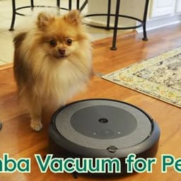 How a Roomba Vacuum for Pet Hair Can Simplify Pet Ownership