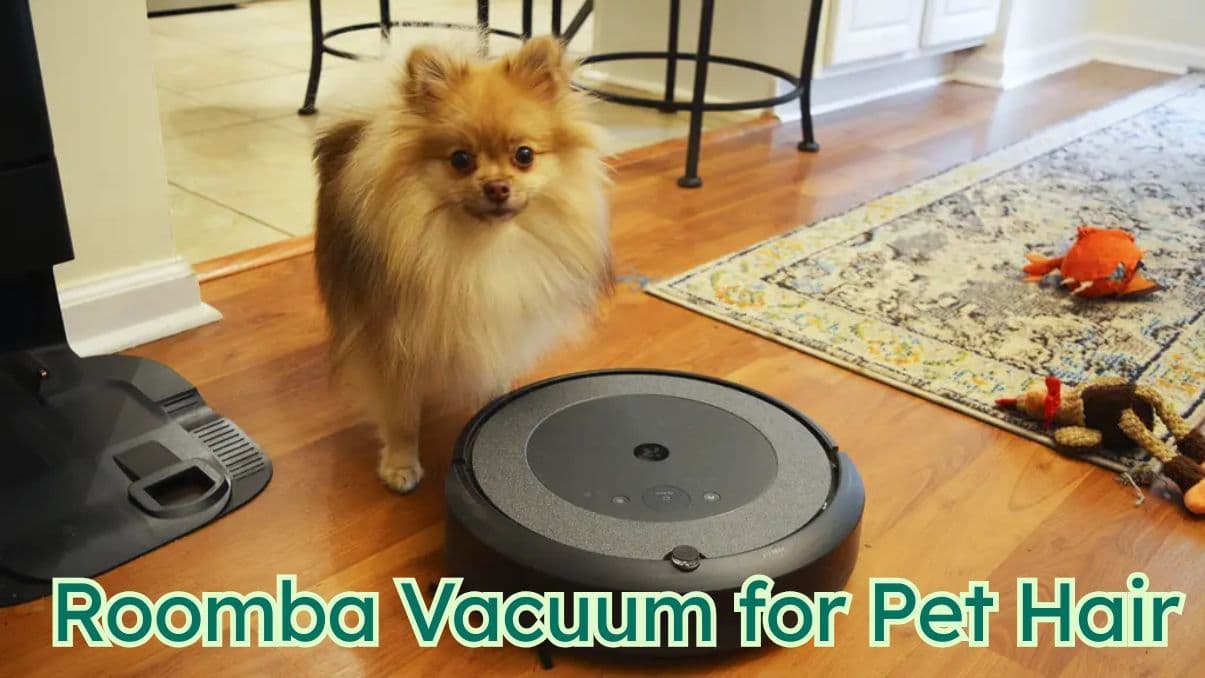 How a Roomba Vacuum for Pet Hair Can Simplify Pet Ownership