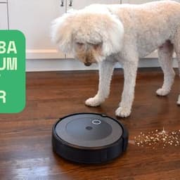 Best Roomba Vacuum Pet Hair Solutions for Clean Homes