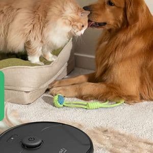 How a Self Emptying Robot Vacuum Pet Hair Solution Simplifies Cleanup