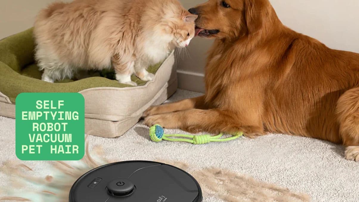 How a Self Emptying Robot Vacuum Pet Hair Solution Simplifies Cleanup
